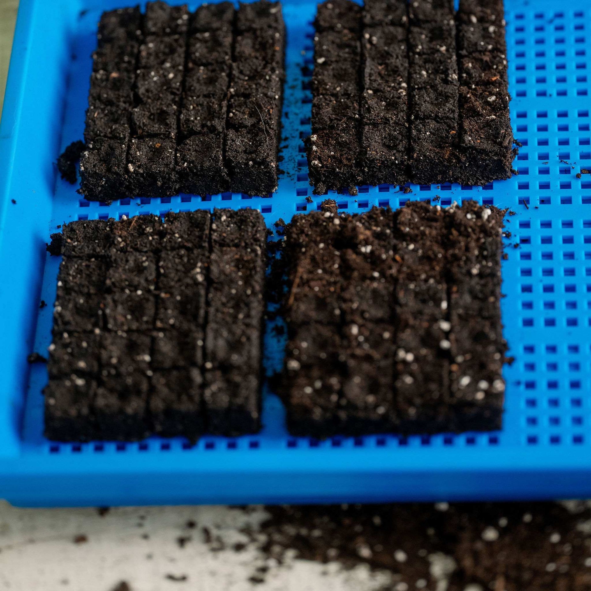 1020 Mesh Trays Shallow Extra Strength Colors -  1" Deep