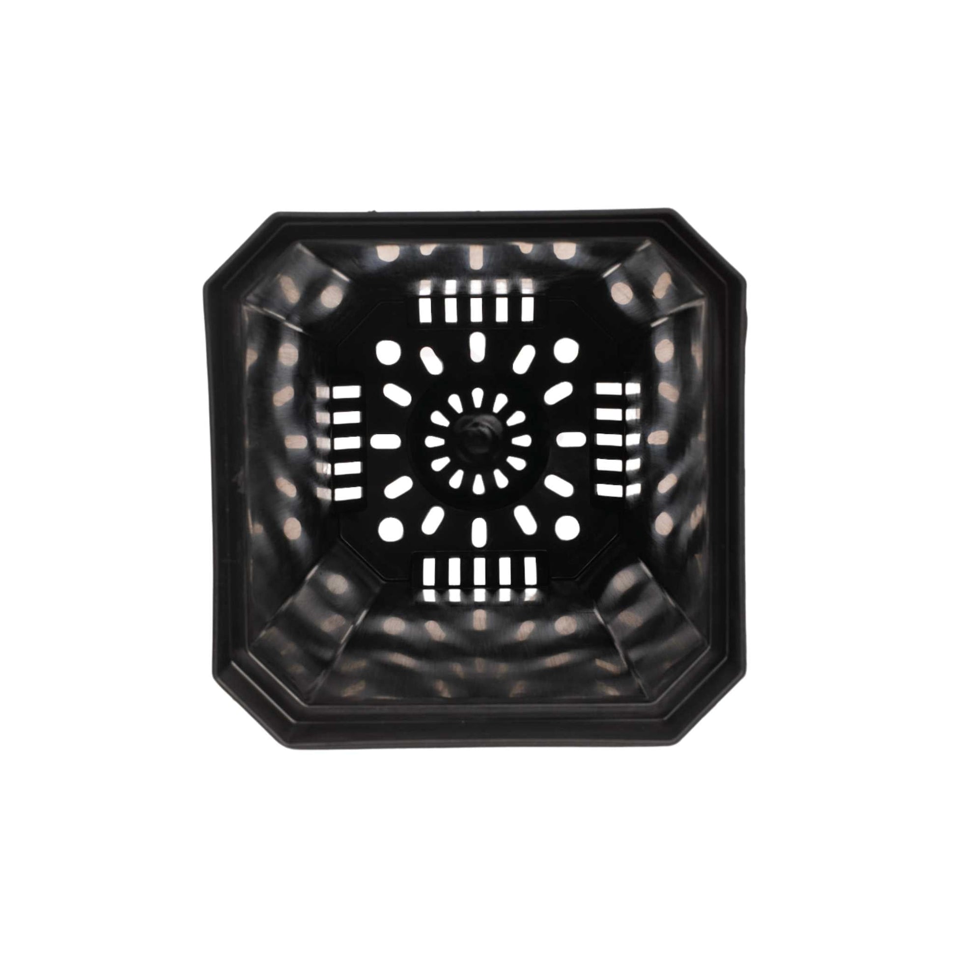 5" Nursery Pots with Insert Tray