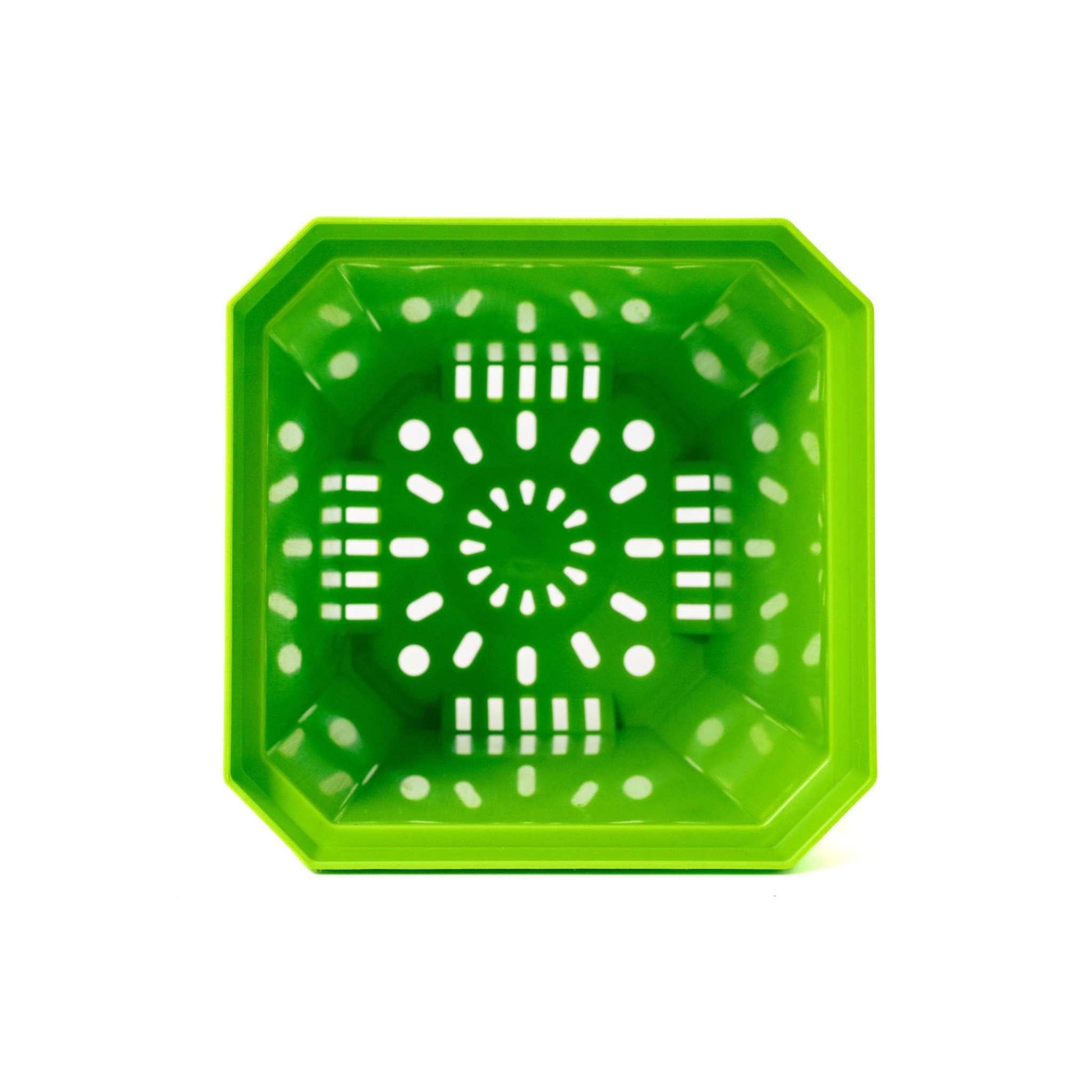 5" Nursery Pots with Insert Tray