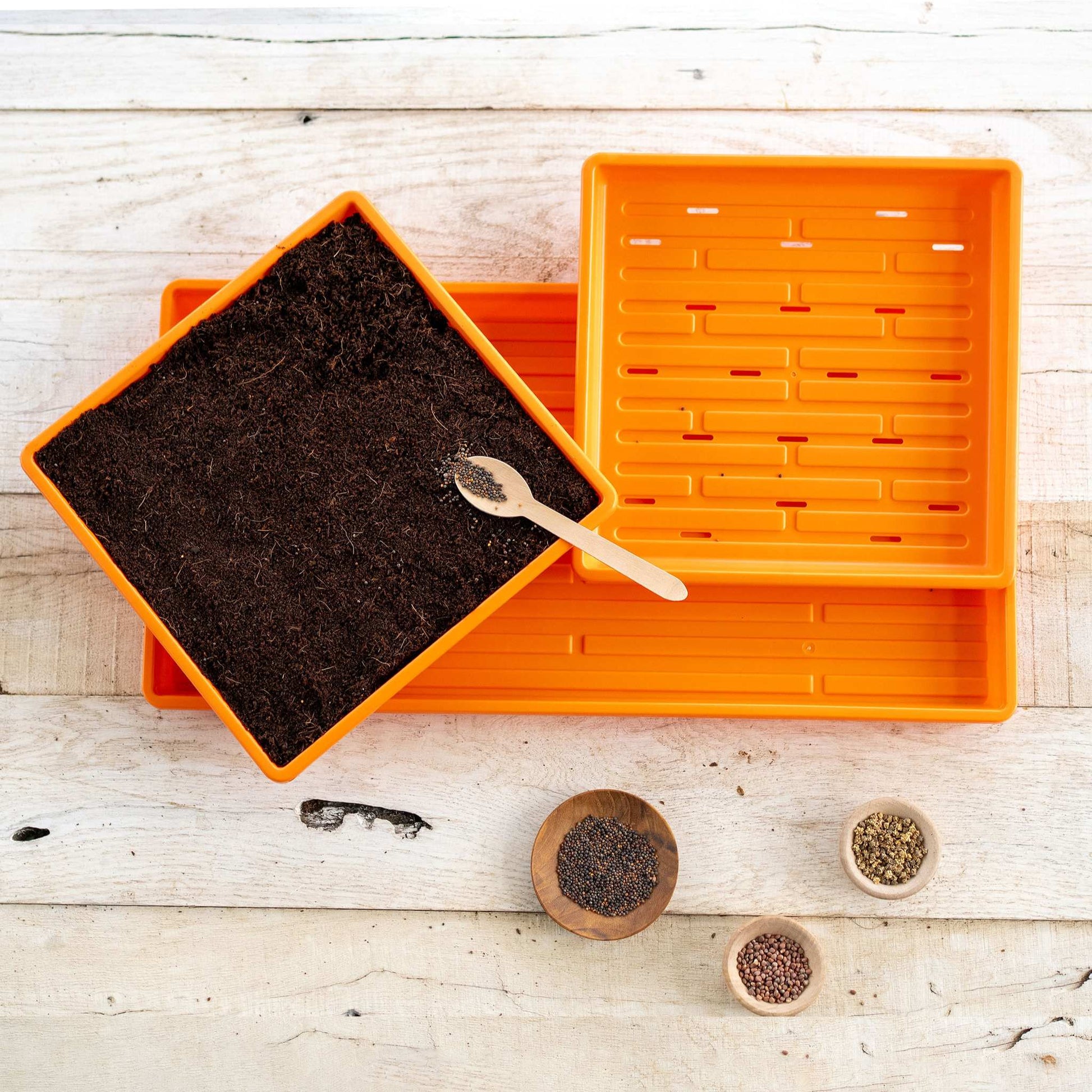 1010 Microgreens Kit