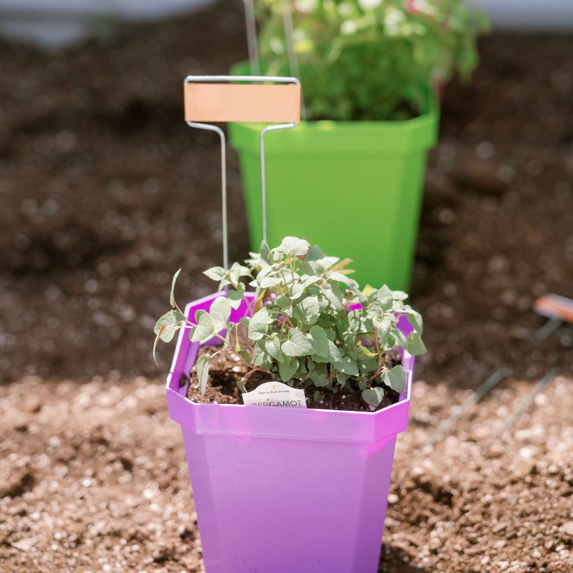 5" Heavy Duty Nursery Pots