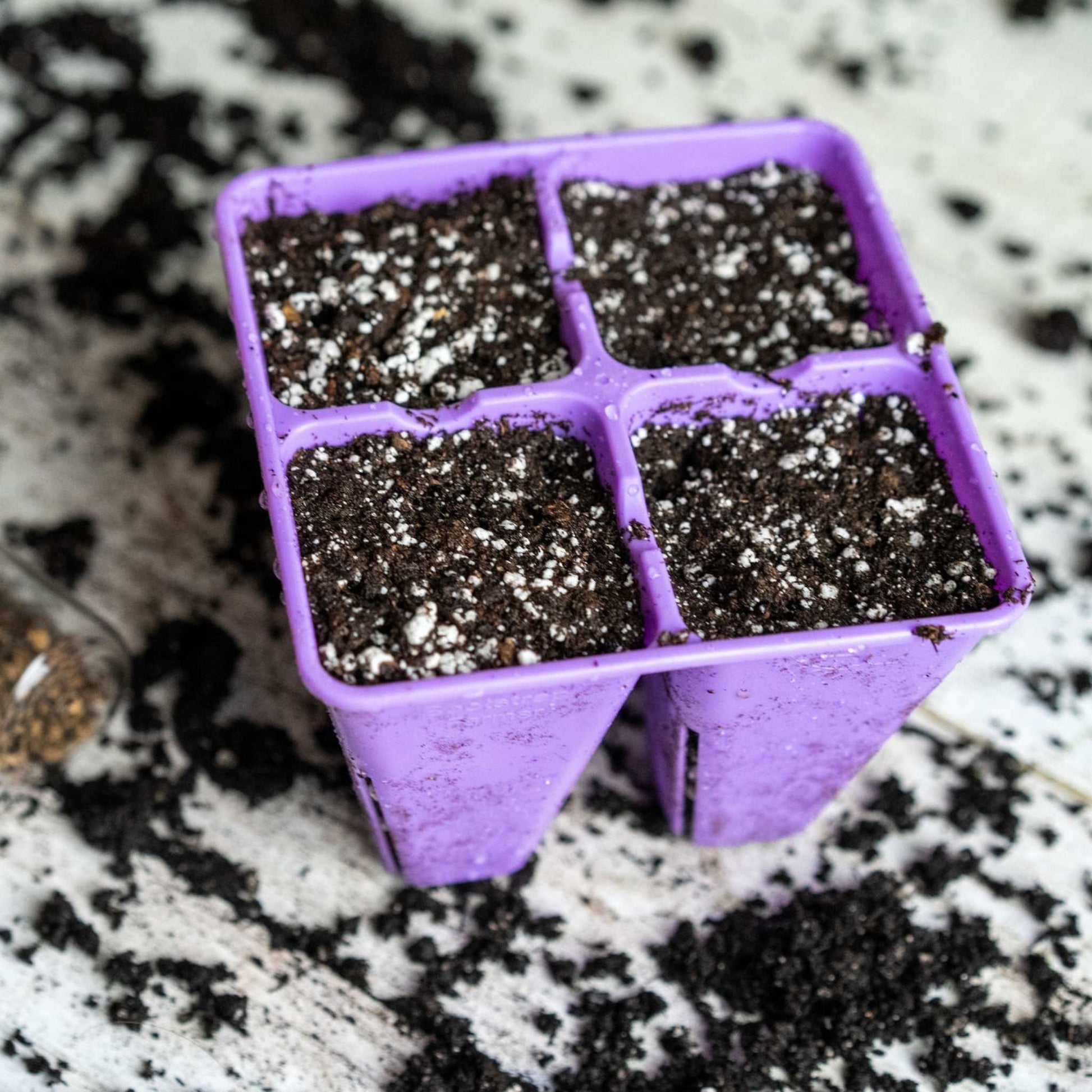 4 Cell Plug Tray Inserts