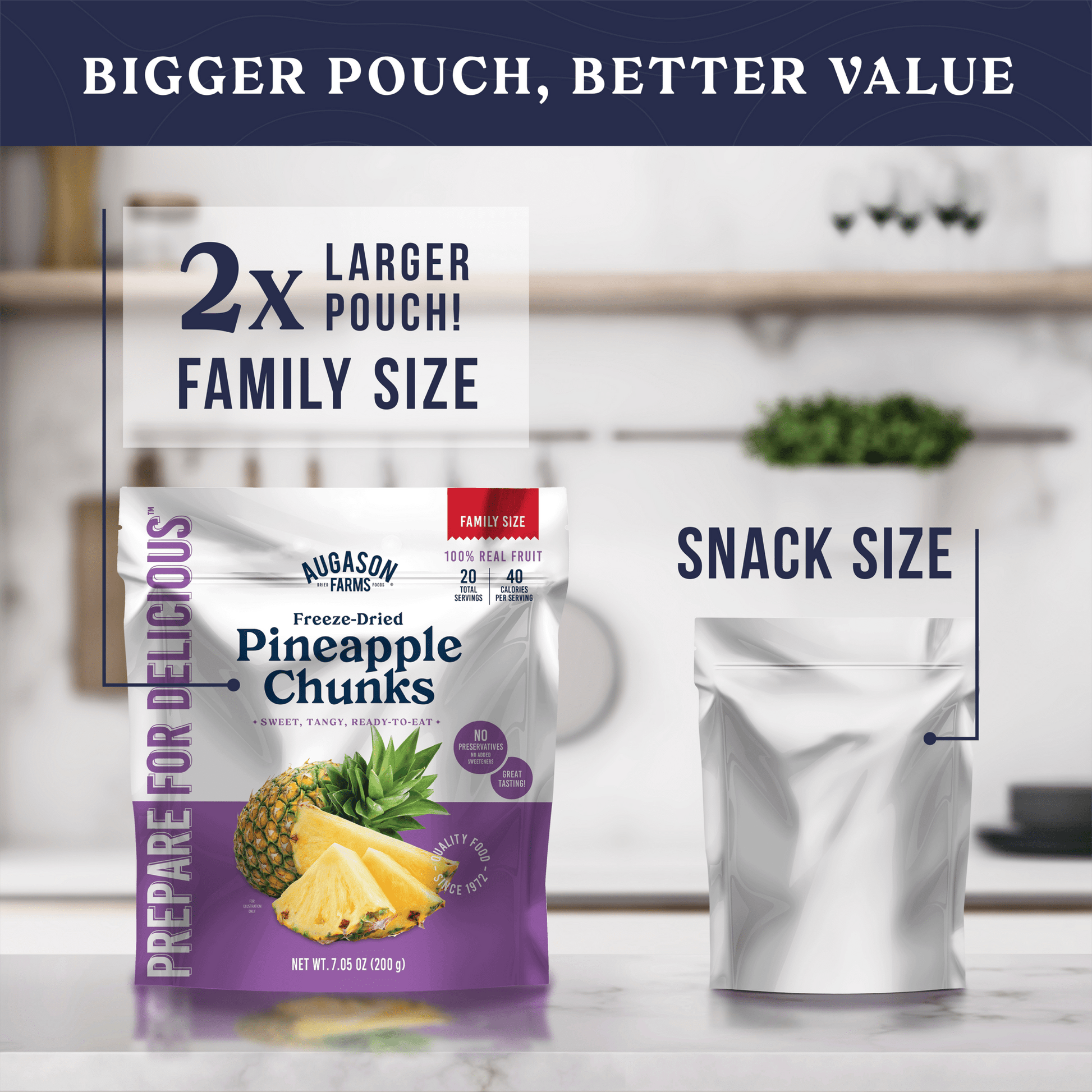 Freeze Dried Pineapple Chunks Family Size Pouch, 20 Servings