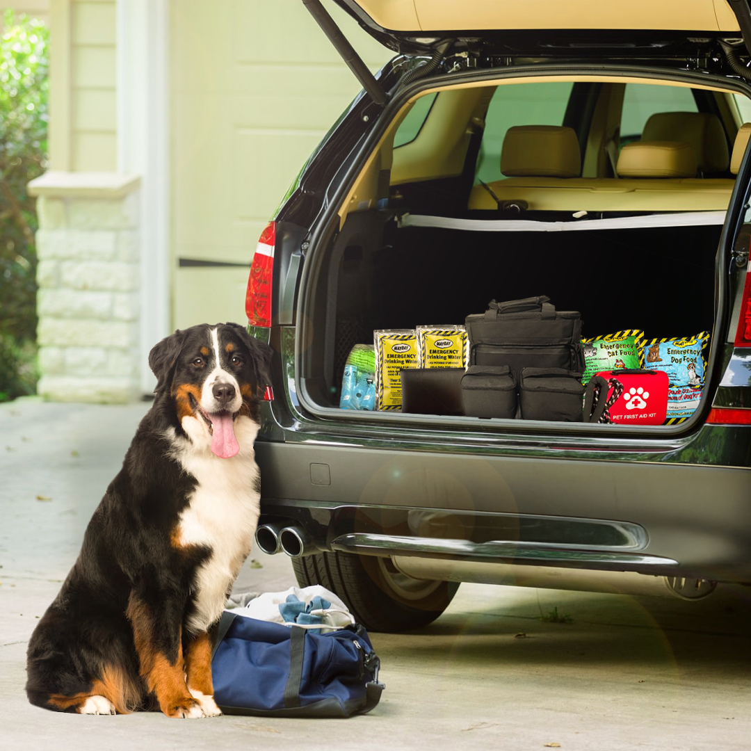 The Safe Pet Kit: Must-Have Pet Kit for Disaster Situations