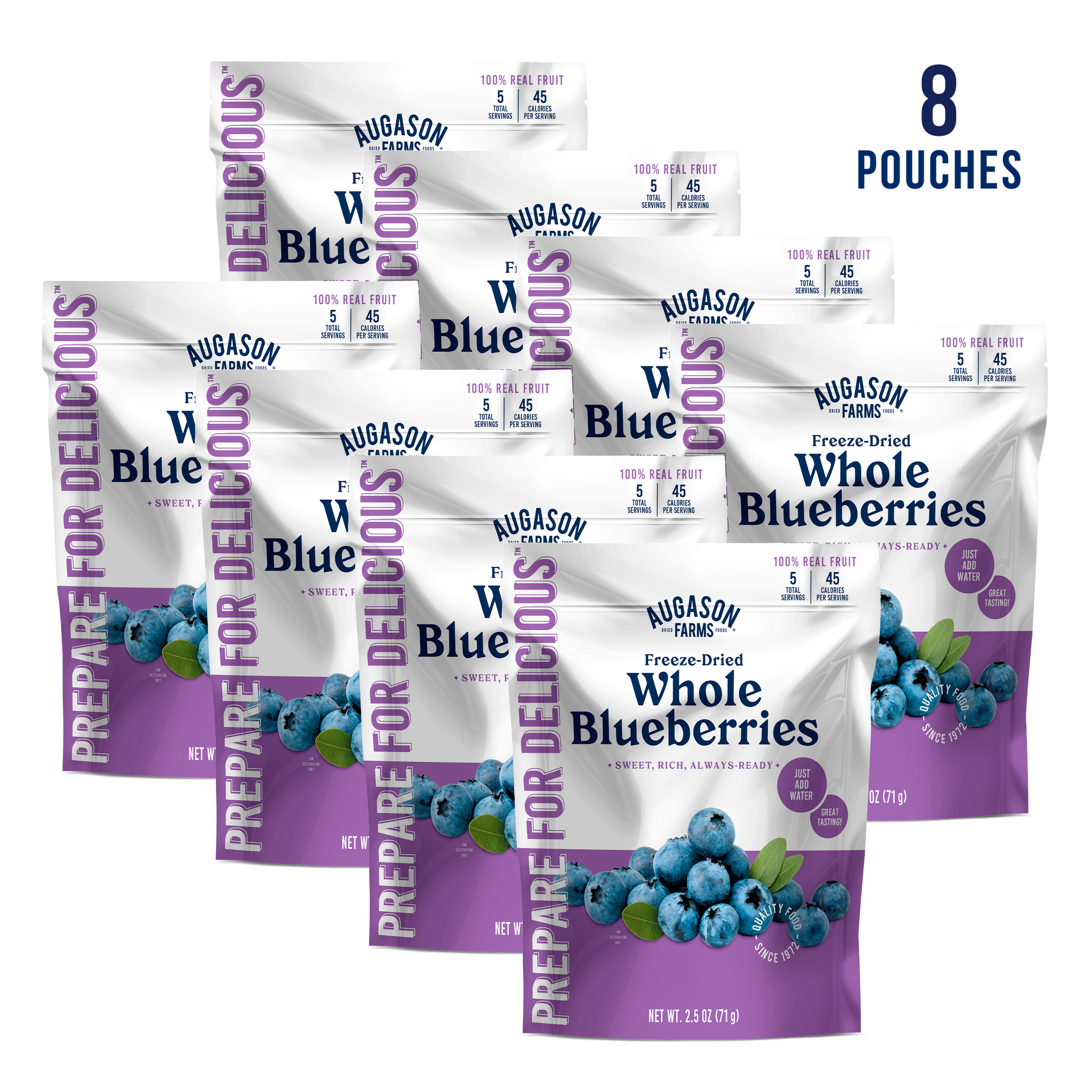Freeze Dried Whole Blueberries Pouch, 5 Servings