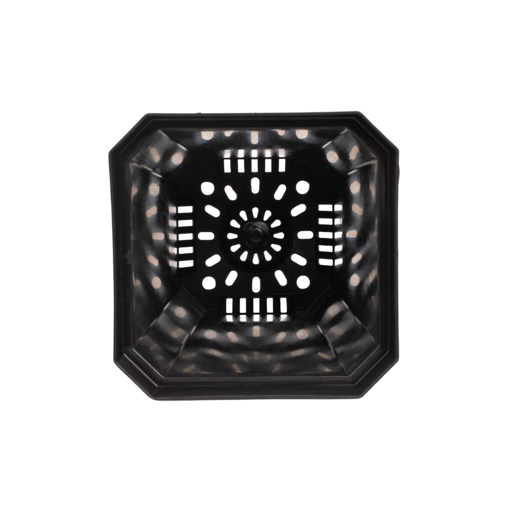 5" Nursery Pots with Insert Tray