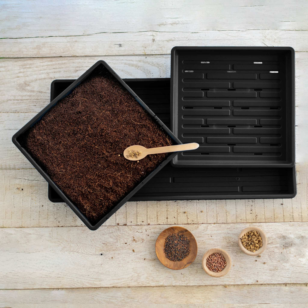 1010 Microgreens Kit