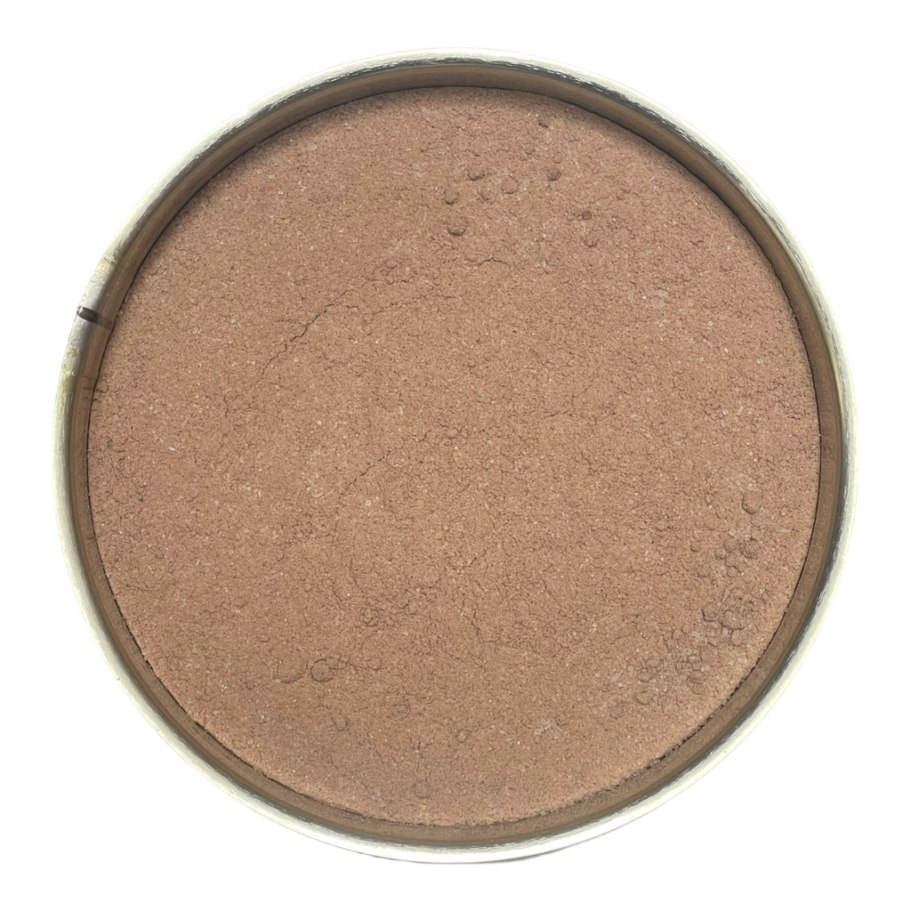 Future Essentials Instant Chocolate Pudding