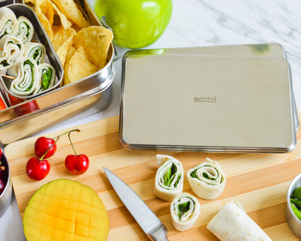 Stainless Steel Freezer PACKS FOR LUNCH Boxes and Lunch Bags, 2 Pack