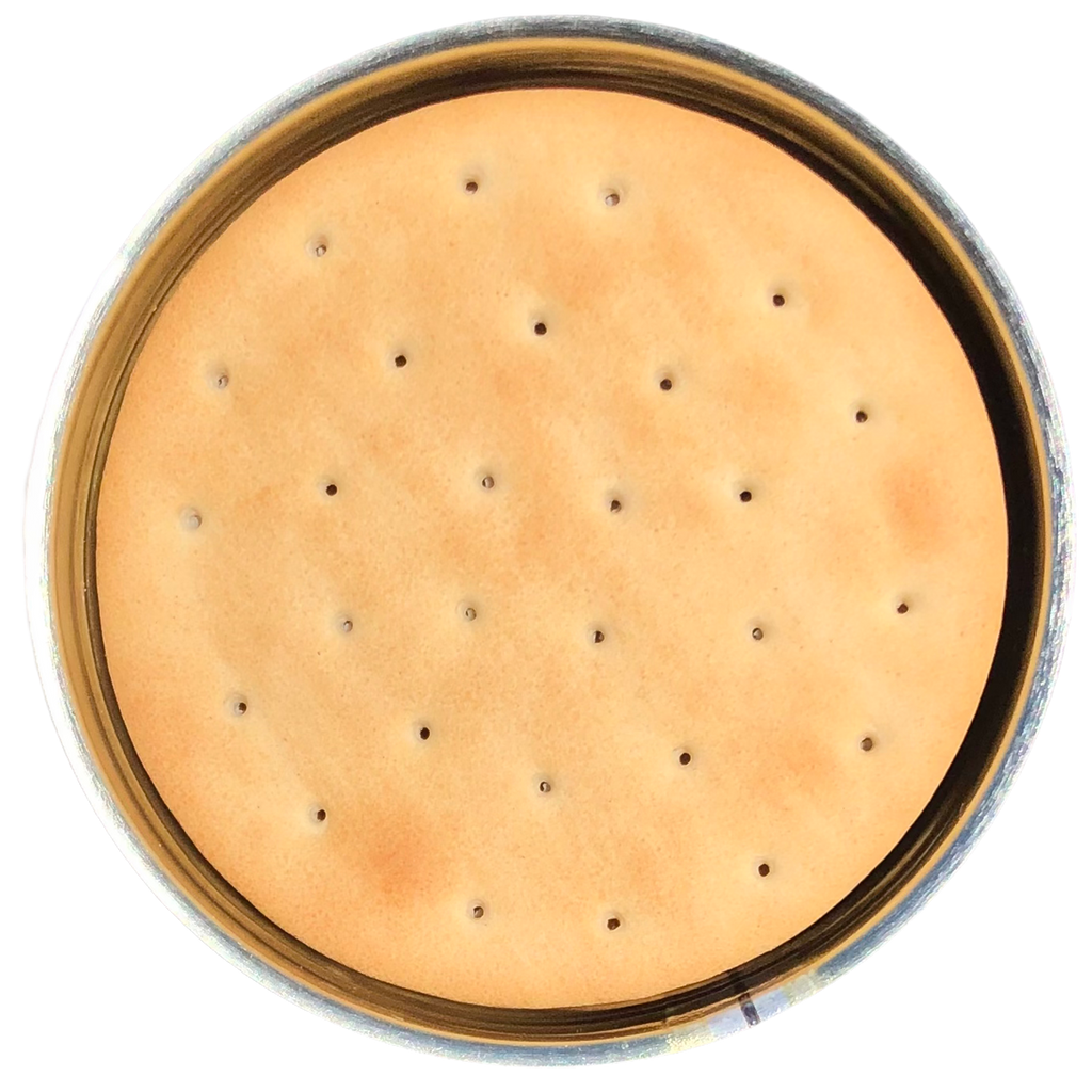 Future Essentials Sailor Pilot Bread Crackers