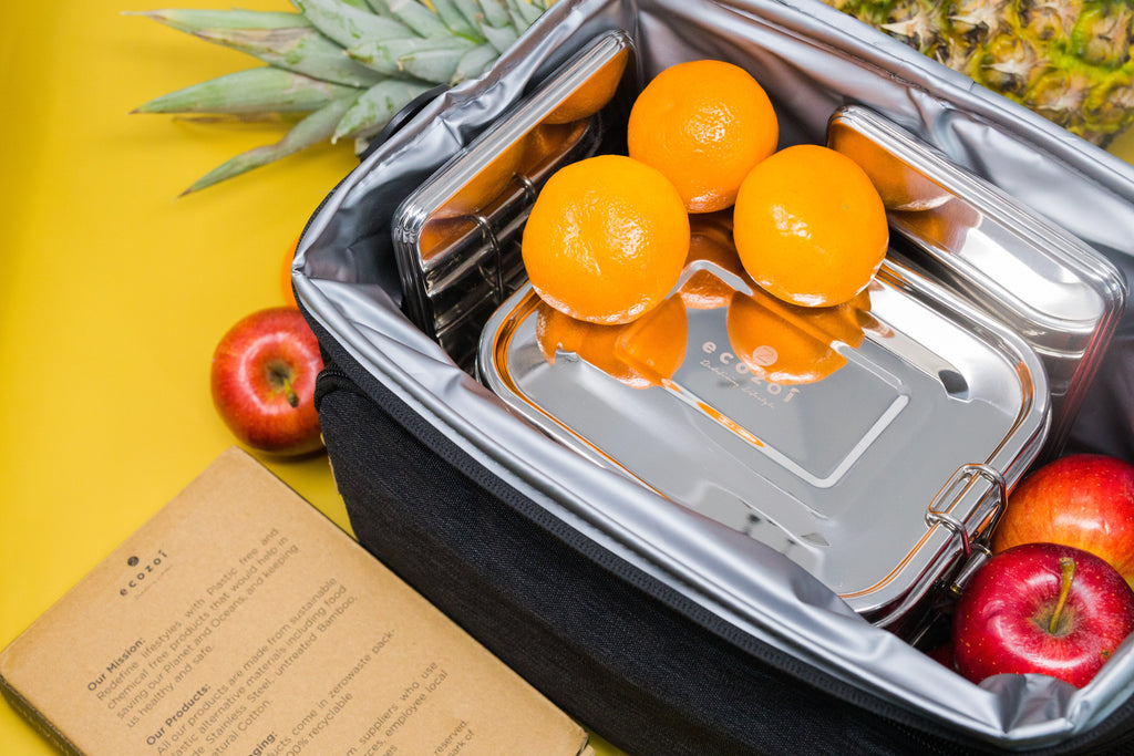 Stainless Steel Freezer PACKS FOR LUNCH Boxes and Lunch Bags, 2 Pack