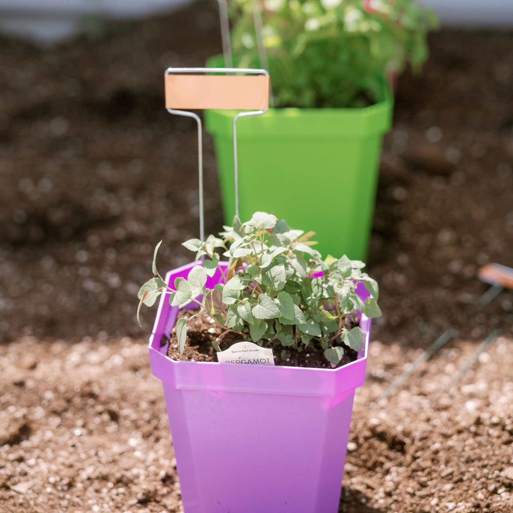 5" Heavy Duty Nursery Pots