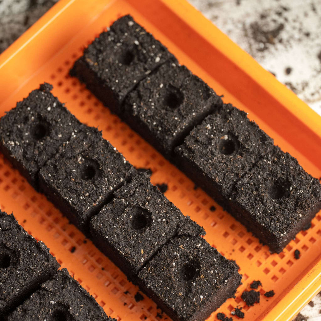 1020 Mesh Trays Shallow Extra Strength Colors -  1" Deep