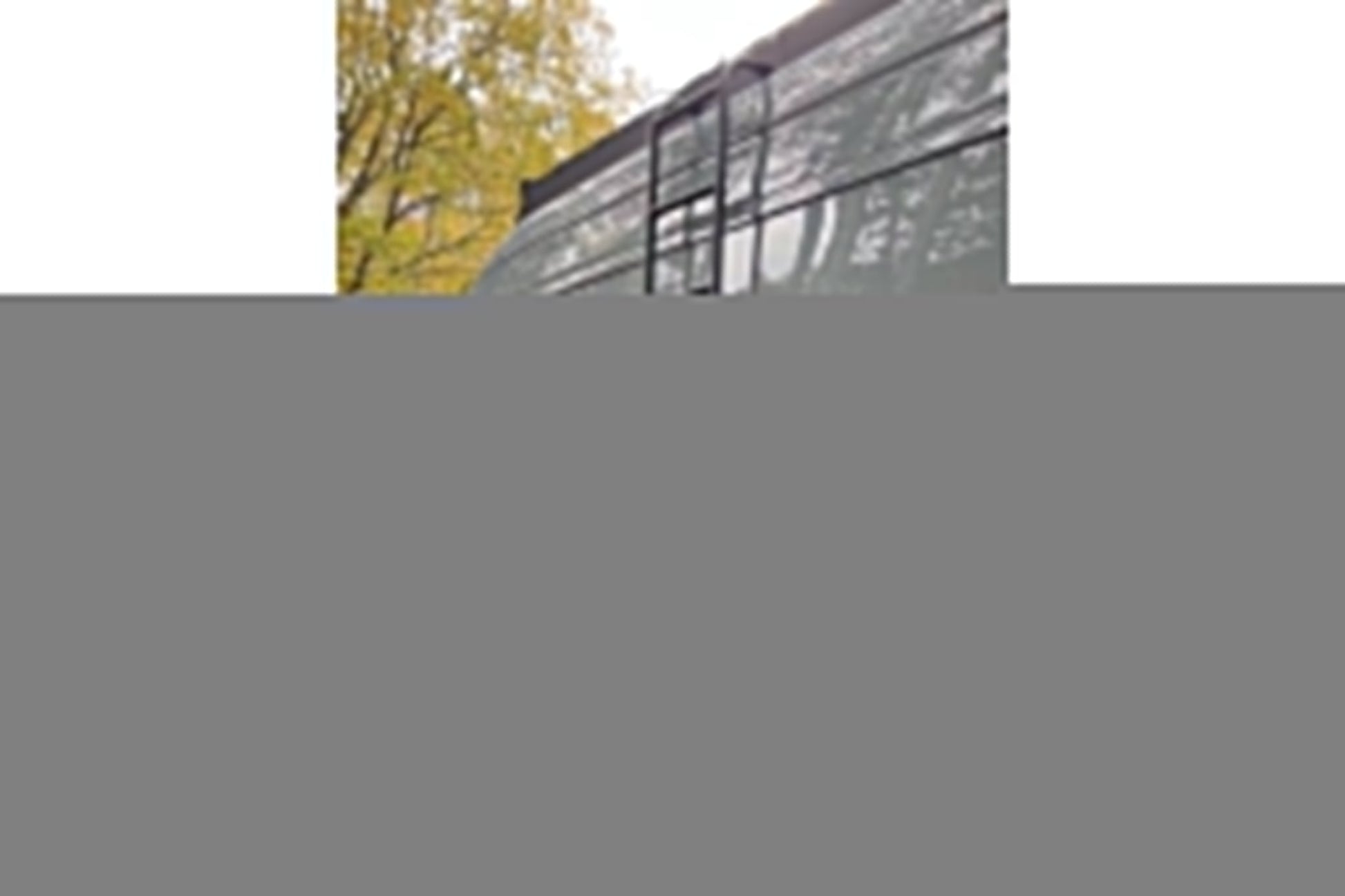 Sprinter Side Ladder