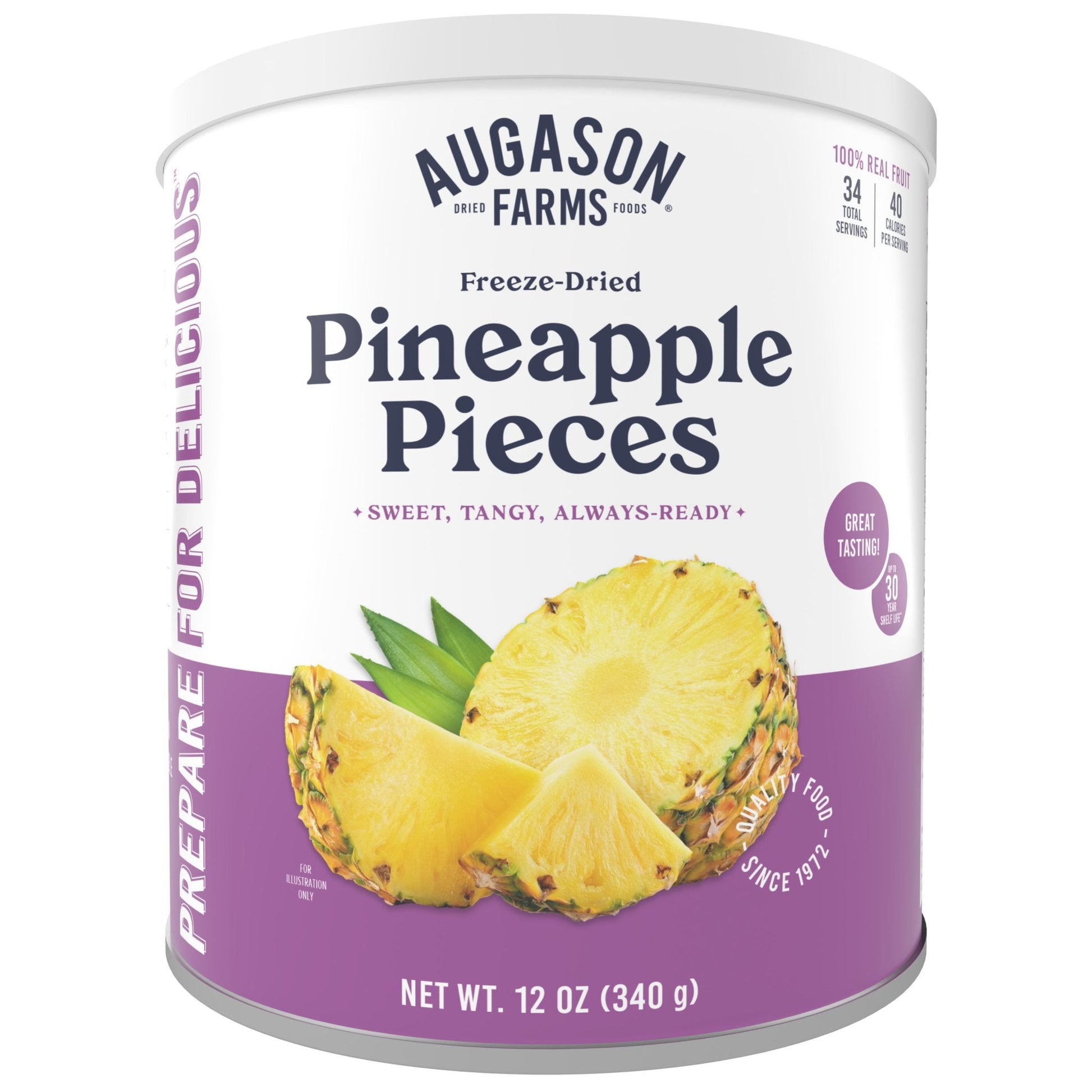 Freeze Dried Pineapple Pieces Can, 34 Servings