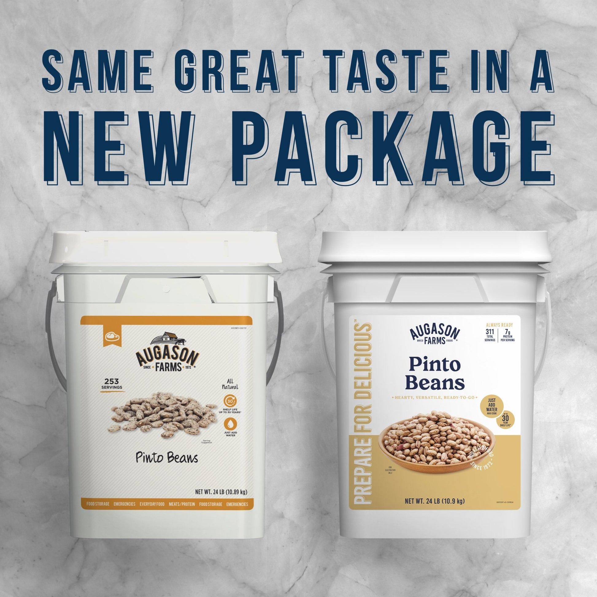 Dried Pinto Beans 4 Gallon Pail, 311 Servings